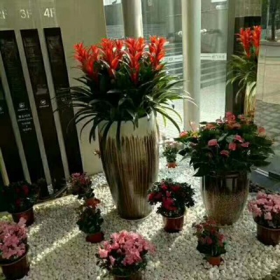 藝術(shù)組合盆景