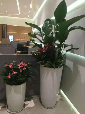 藝術(shù)組合盆景